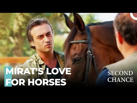 Job Offer For Mirat - Second Chance