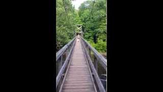 preview picture of video 'DANGEROUS Yellow Jacket Nest On Toccoa River Swinging Bridge!'