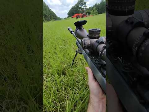 300 Winchester Magnum Federal Fusion Ballistics Gel Ammo Test