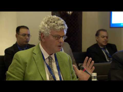 WPC2017 Parallel Workshop 4 - Michel Foucher