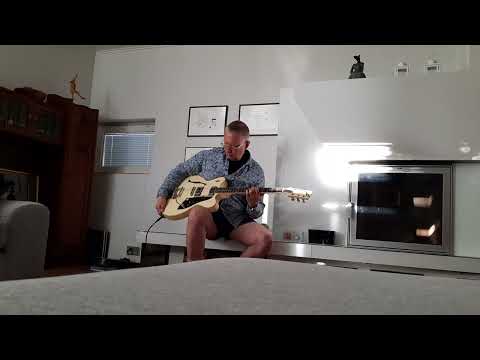 Election Panel Blues