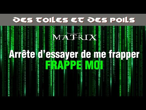 Matrix, La Trilogie - Cyberpunk & Dystopie - critique