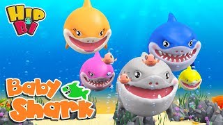 Baby Shark with Funny Hippo Baby | More Nursery Rhymes Songs for Kids | Hip Bi