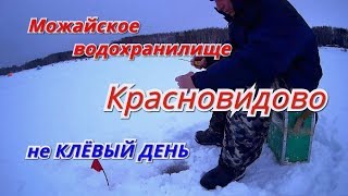 Рыбалка на можайке сегодня отчеты