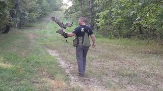 The Falconer's Journey Ep6