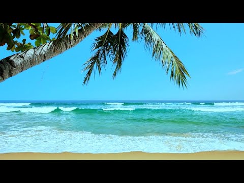 Tropical Beach Ambience | White Noise for Stress Relief, Meditation & Sleep | 10 Hours