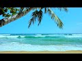 Tropical Beach Ambience | White Noise for Stress Relief, Meditation & Sleep | 10 Hours