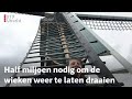 Veel Utrechtse molens staan stil en deze wipmolen is het moeilijkst te redden | RTV Utrecht