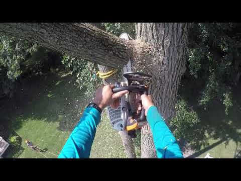 Storm Damage Emergency Response