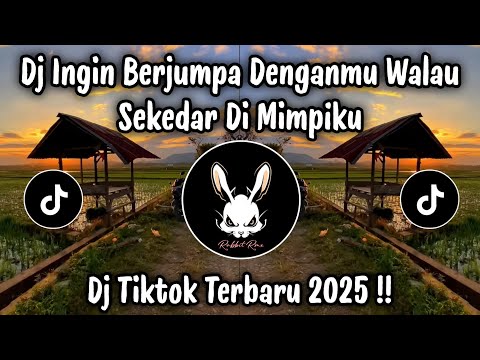 DJ INGIN BERJUMPA DENGANMU WALAU SEKEDAR DI MIMPIKU - DJ TIKTOK TERBARU 2025