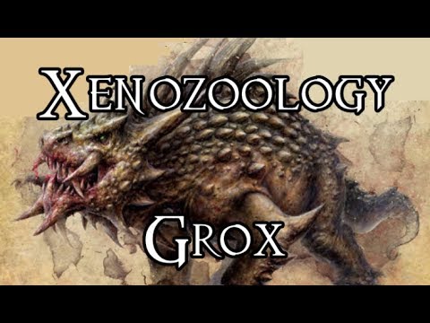 Xenozoology: Grox - 40K Theories