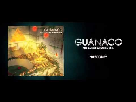 Descone-Guanaco