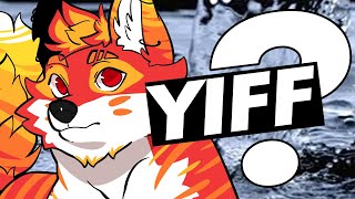 What does YIFF stand for