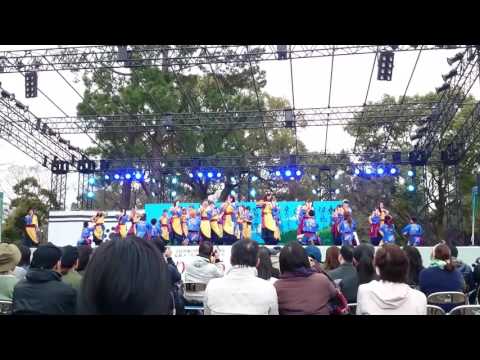 看護学科 九州がっ祭 第肆回火の国青春合戦～春の陣～ 「九州看護福祉大学 飛羽隊 飛輝」