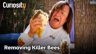 CuriosityStream A Massive Underground Beehive… Relocated (2026) – The Killer Bee Catcher