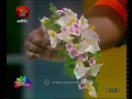 nugasewana-athkam-nirmana-28-05-2018