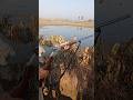 Duck hunting with single barrel shotgun | Duck Hunting in KPK Pakistan | Hunting with 12 gauge gun