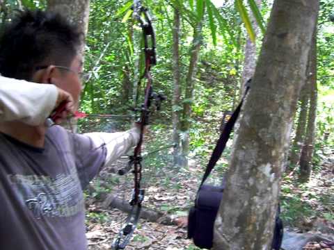 Field archery setup: shoots by another 2 Miri archers