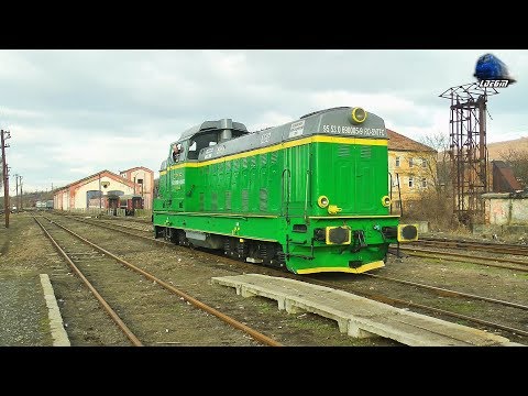 LDE1250 69-0005-9 la Manevră/Shunting in Gara Oravița Station  - 15 February 2019