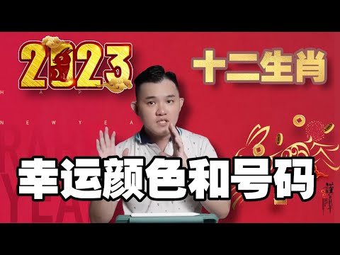 属羊幸运号码2023