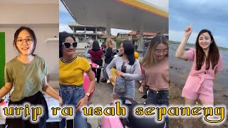 Download lagu story wa - koplo koplo kompil ciwi-ciwi tiktok mp3