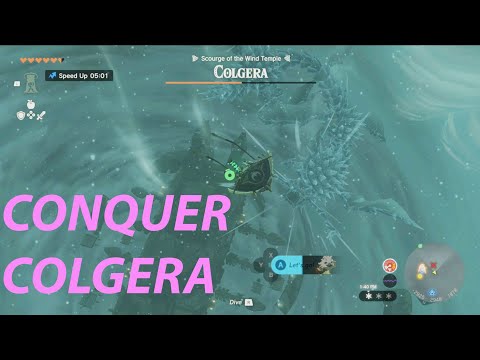 DIVEBOMB COLGERA | Wind Temple Boss Guide