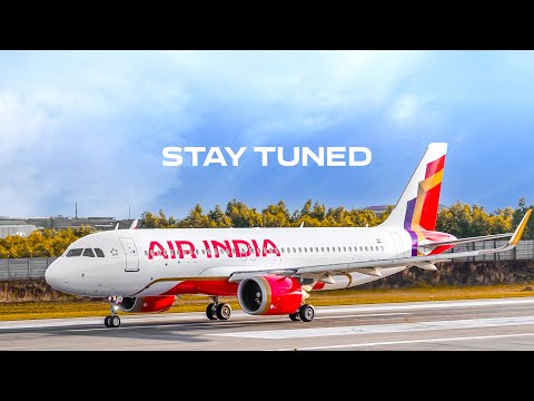 All New Domestic Experience