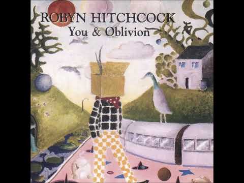 ~ Robyn Hitchcock ~ You And Oblivion