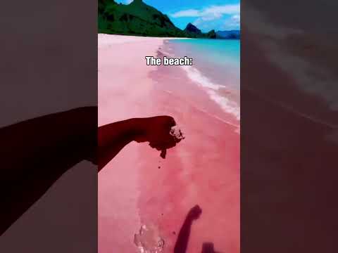 🇮🇩 Pink Beach, Indonesia