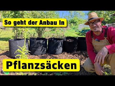 Kartoffeln im Sack anbauen (Genial für Balkon und Terrasse)