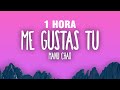 [1 HORA] Manu Chao - Me Gustas Tu (Letra/Lyrics)