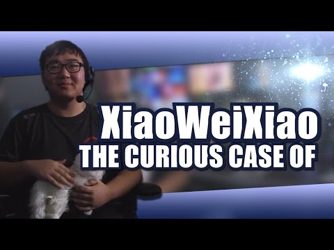 The Curious Case of XiaoWeiXiao