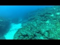 Picture taken during the dive