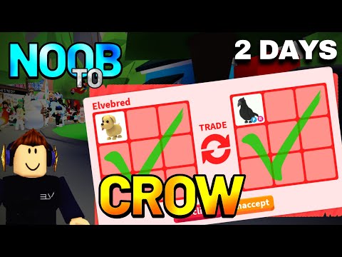 First to Crow Wins 20,000 Robux! Roblox Adopt Me