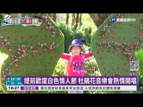 杜鵑花音樂會登場! 民眾享受暖陽賞花拍照