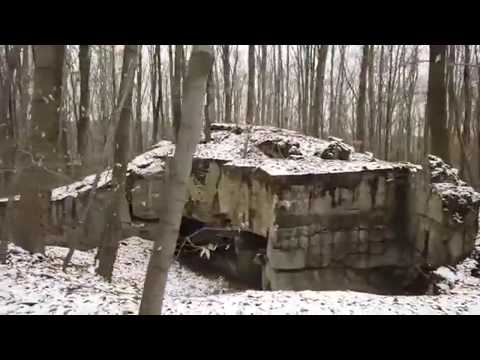 Westwallbunker im Großraum Göttelborn und eine Wildsau gibt Gummi "Tierschädel"
