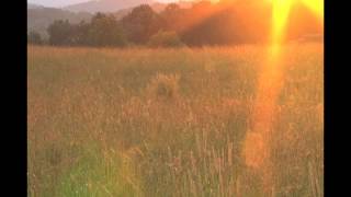 Carly Rae Jepsen - Sunshine On My Shoulders