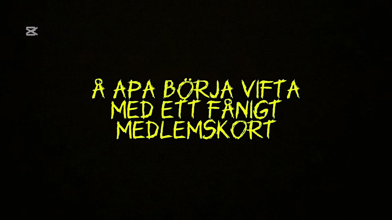 AIK Trubaduren | En Apa Går På Djurgår’n (Med Text)