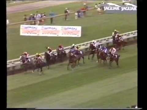 Castletown 1989 NZ Derby