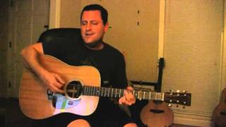 The Light, David Gray, Cover by David Szikman