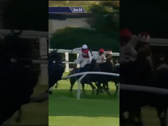 Thumbnail for Post ID: BioZAyRqzIo