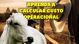 Como calcular custo operacional dentro da sua fazenda
