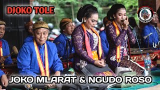 Download lagu JOKO MLARAT & NGUDO ROSO Jaranan Djoko Tole Live Goa Selomangleng Kediri - PB Pro Audio mp3