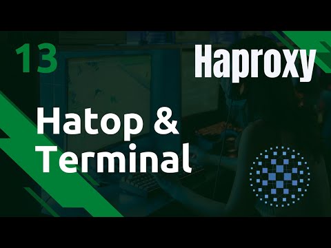 Haproxy 13 Hatop la GUI dans votre terminal