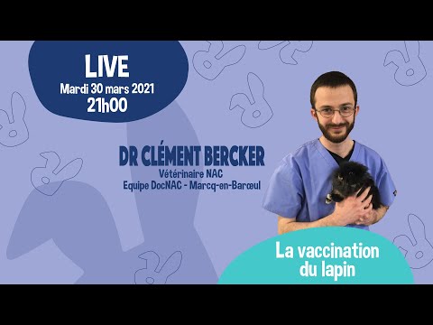, title : 'La vaccination du lapin'