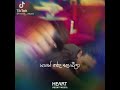 Korean Mix Sinhala Song