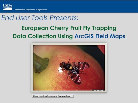 European Cherry Fruit Fly Data Collection using ArcGIS Field Maps (ECFF)