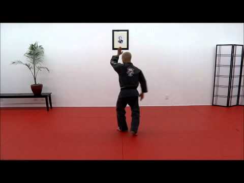 CASA DE KENPO - FORM 5 - DEMO