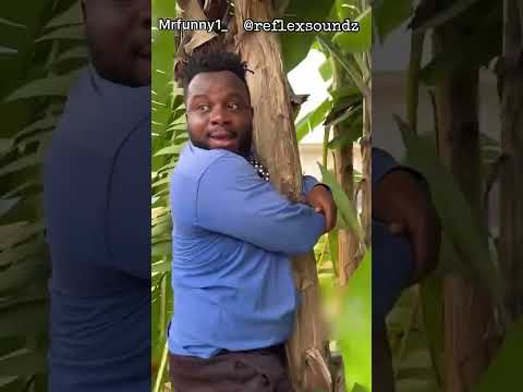 Make Noise (Ali Bongo Gabon Song)