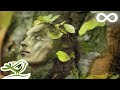 Dance of Life • Relaxing Fantasy Music for Relaxation & Meditation Dance of Life • Relaxing Fantasy Music for Relaxation & Meditation